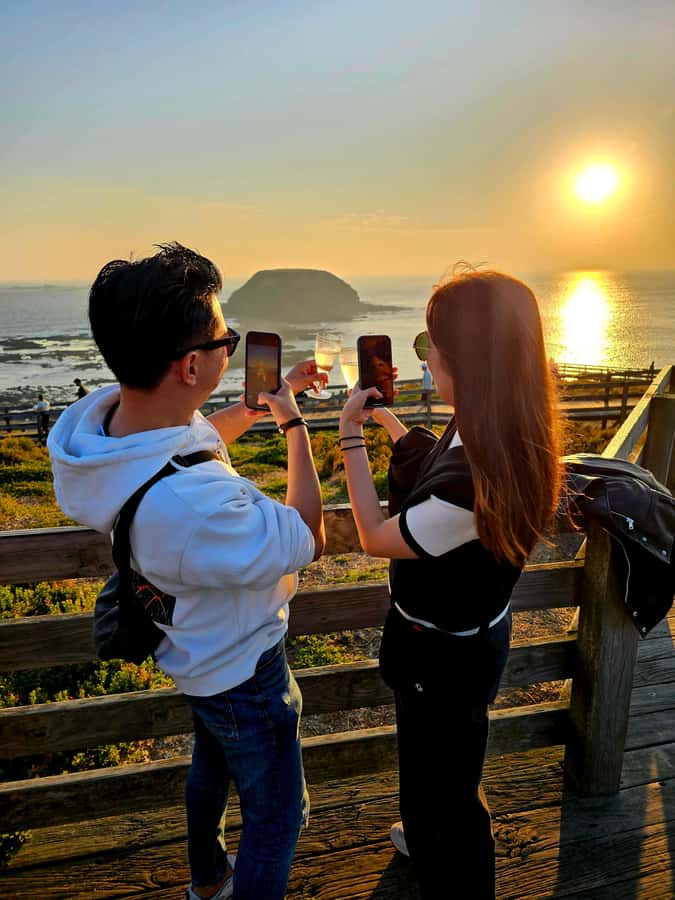 Melbourne: Boutique Phillip Island Wine, Dine & Penguin Tour - FAQ