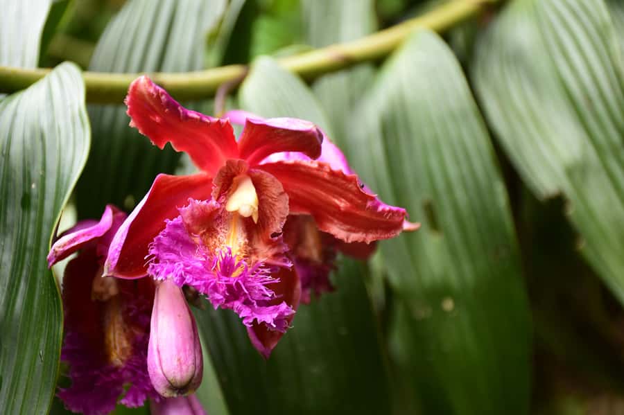 From Cusco: 2 days Inca Trail to Machu Picchu - Key Points