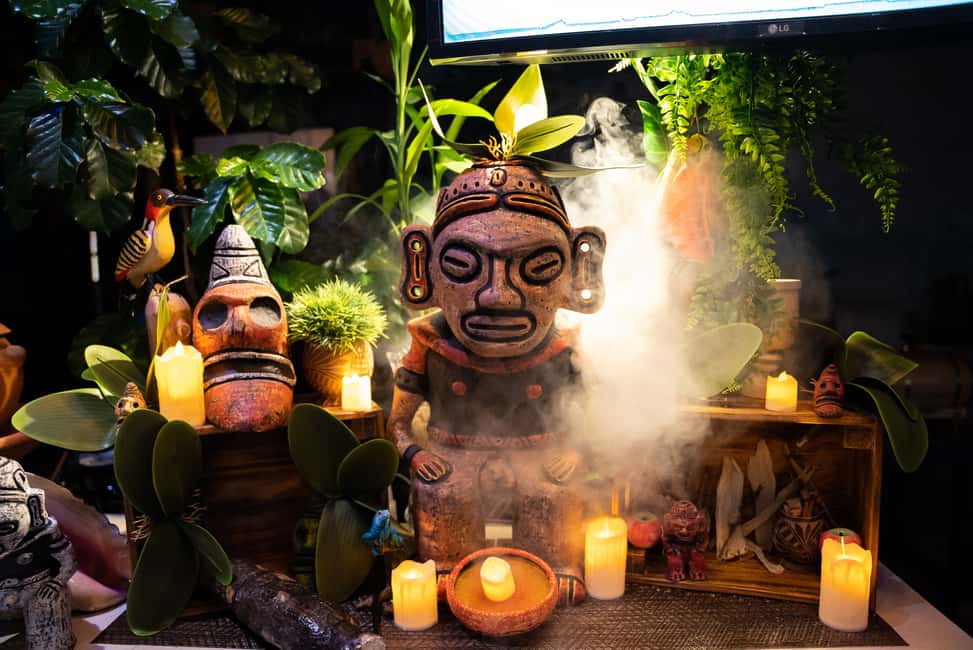 Punta Cana: Dominican Cuisine History Class with Appetizer - A Deep Dive into the Experience