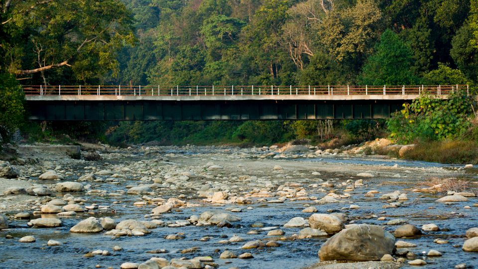 From Delhi: 3-Day Wildlife Trip to Jim Corbett National Park - The Sum Up