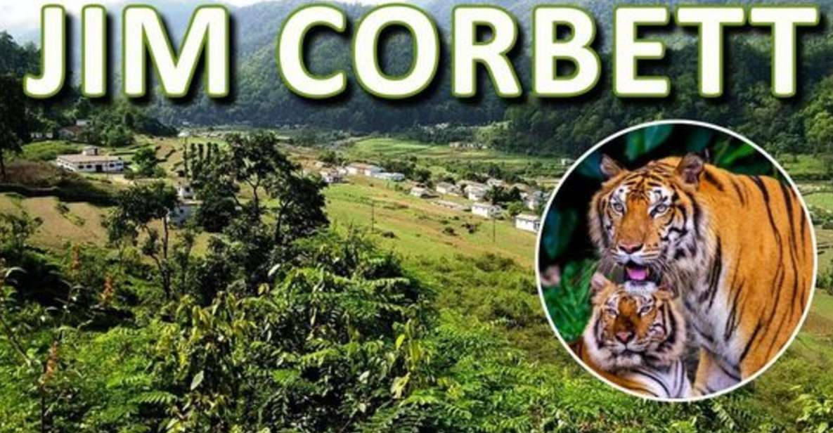 From Delhi: 3-Day Wildlife Trip to Jim Corbett National Park - Exploring the 3-Day Jim Corbett Wildlife Trip
