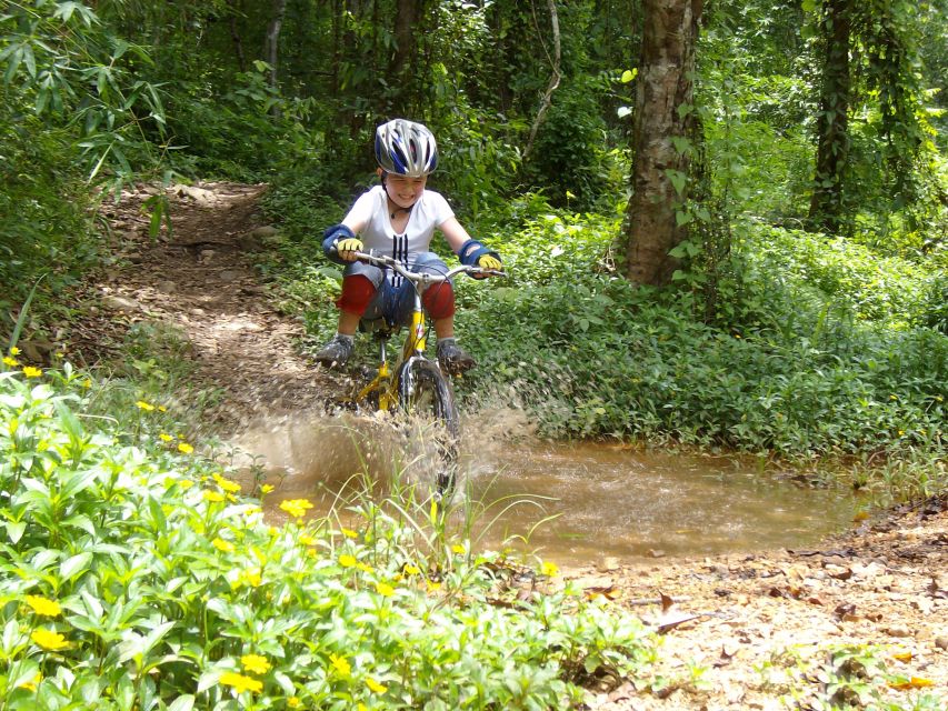 Chiang Mai: Rainforest Guided Mountain Biking Tour - Real Feedback from Participants