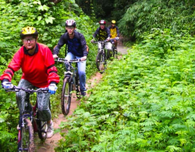 Chiang Mai: Rainforest Guided Mountain Biking Tour - Key Points