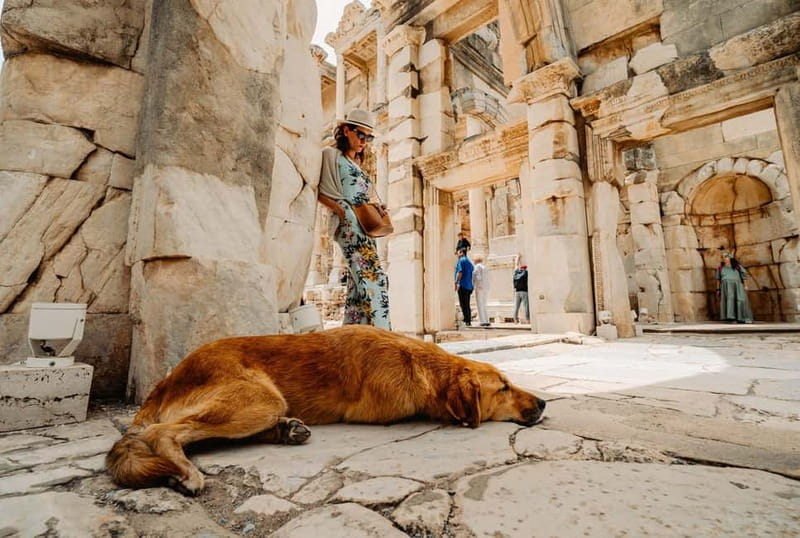 Ephesus Ancient City with Best Guides Only For Cruise Guests - In-Depth Look at the Ephesus Tour Experience