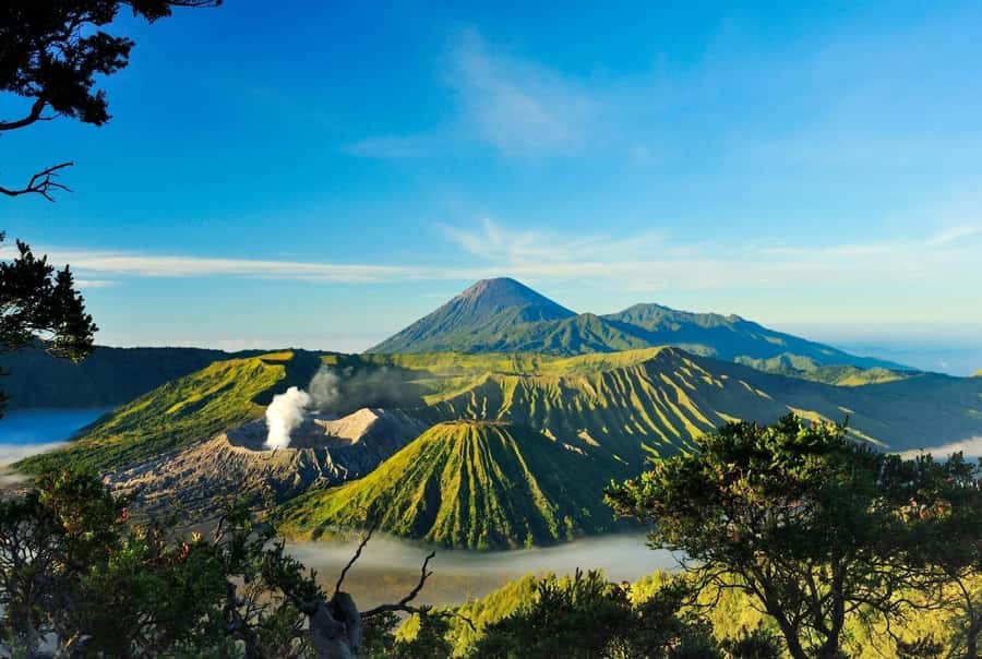 From Probolinggo: 2-Day Mount Bromo and Ijen Volcano Tour - Authentic Review Highlights
