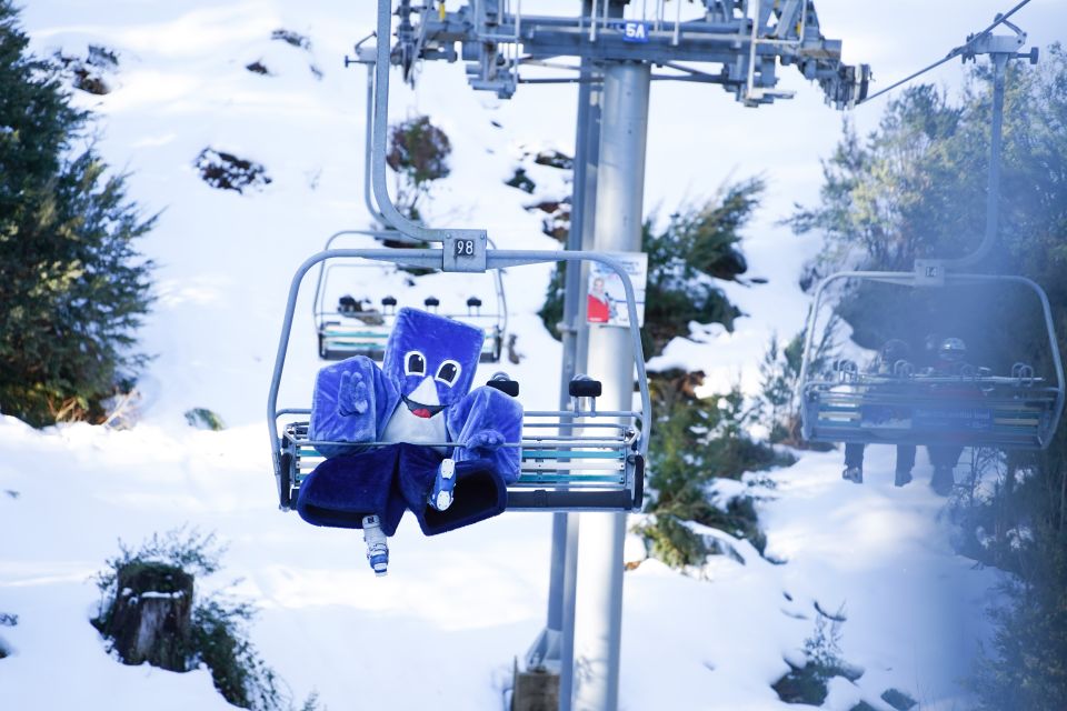 From Melbourne: Day Trip to Mt Buller by Premium Tour Coach - The Sum Up