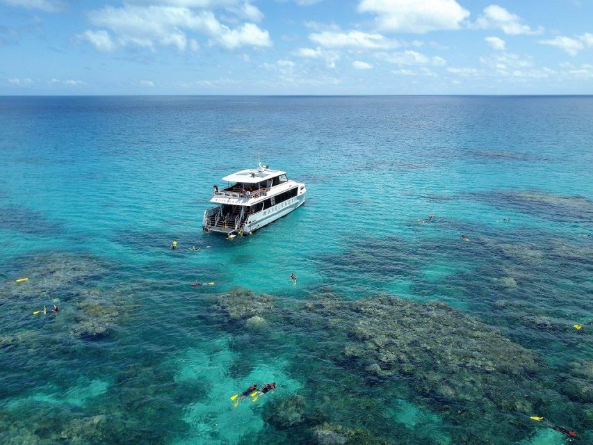 Port Douglas: Outer Great Barrier Reef Snorkeling Cruise - The Experience: What Really Makes It Stand Out