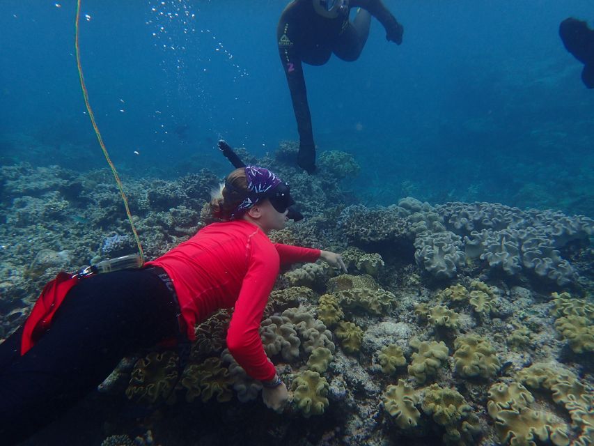 Port Douglas: Outer Great Barrier Reef Snorkeling Cruise - The Itinerary in Detail: What Makes Each Step Special