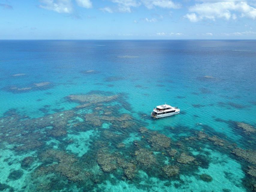Port Douglas: Outer Great Barrier Reef Snorkeling Cruise - Introduction: What to Expect from the Port Douglas Outer Reef Snorkeling Cruise