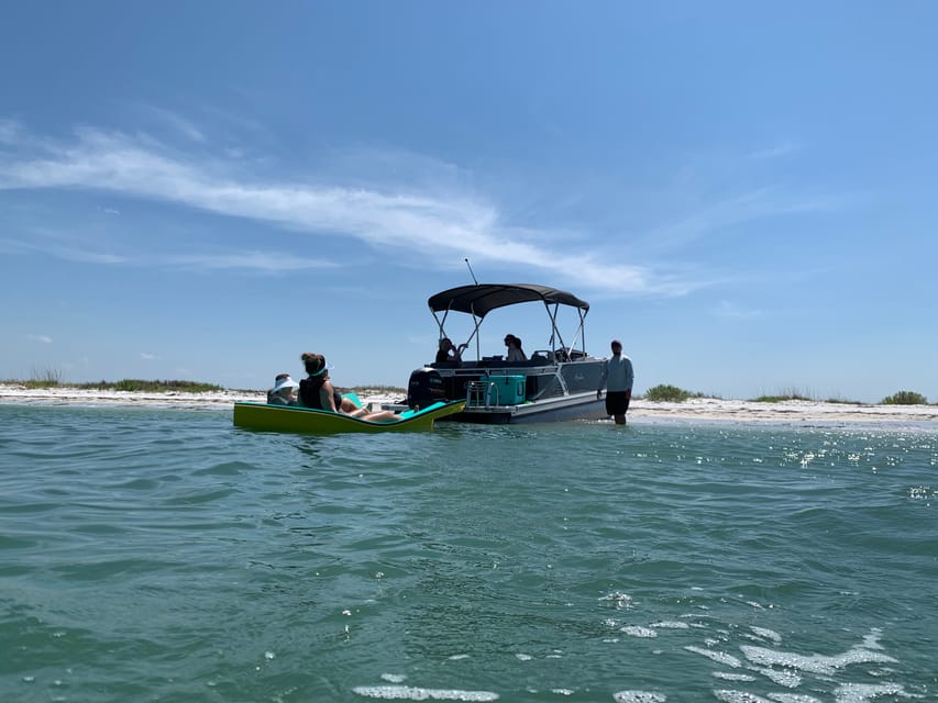 Clearwater Beach: Private Pontoon Tours - Authentic Experiences Highlighted in Reviews
