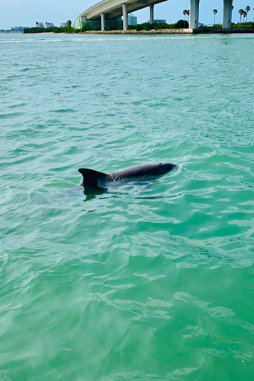 Clearwater Beach: Private Pontoon Tours - Who Would Love This Tour?