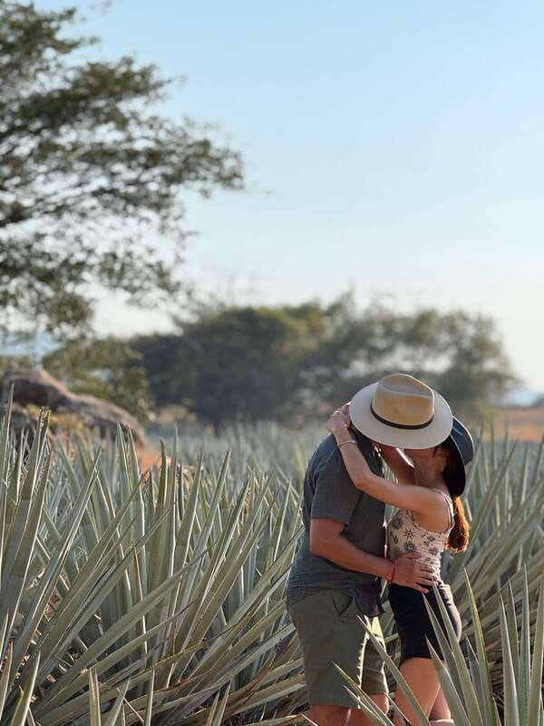 Tequila: Town and Distillery Guided Tour with Tastings - The Value of This Tour
