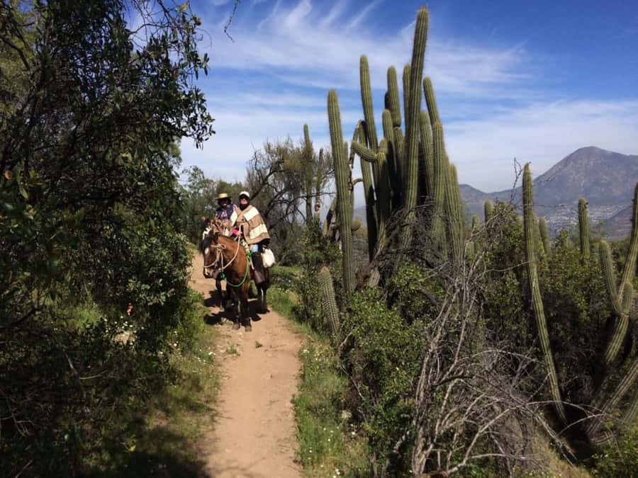 Santiago: Private Andes Foothills Horseback Riding. Half day - Key Points