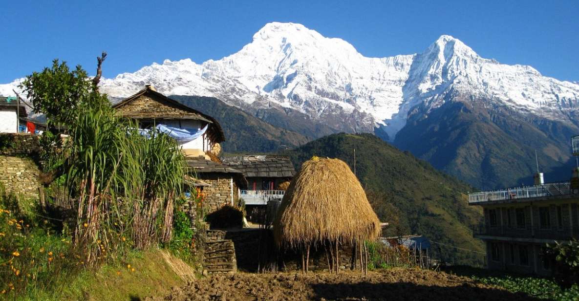 Pokhara: 4-Day Ghorepani, Ghandruk & Poon Hill Guided Trek - Final Thoughts