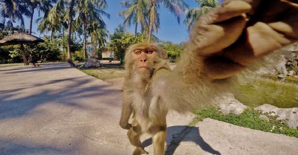 Nha Trang: Entry Ticket to Monkey Island - What to Expect on Your Visit