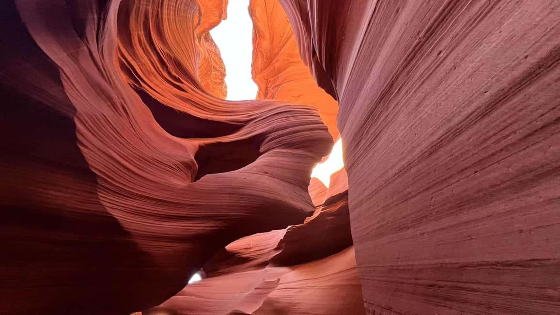 Los Angeles: 6-Day Southwest Guided Tour to Las Vegas - Starting Point: Los Angeles and the Mojave Desert