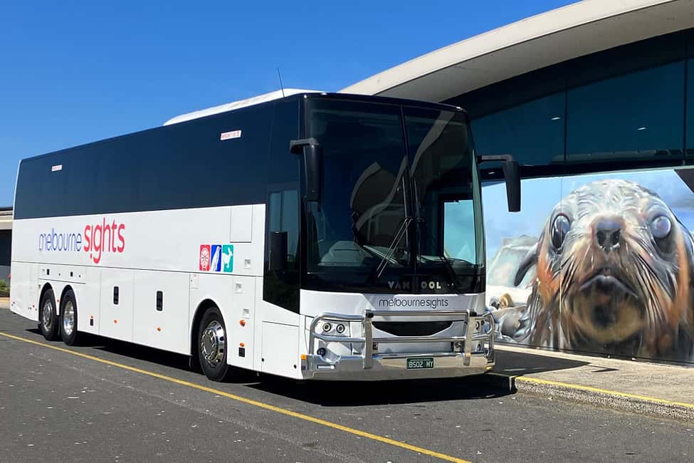 From Melbourne: Phillip Island Penguin Parade Express Tour - FAQ