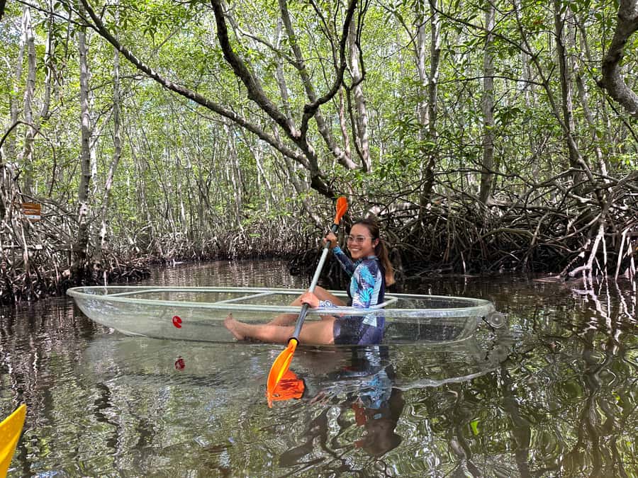 From Lembongan: Kayak/Paddleboard/Boat Mangrove Tour - The Sum Up