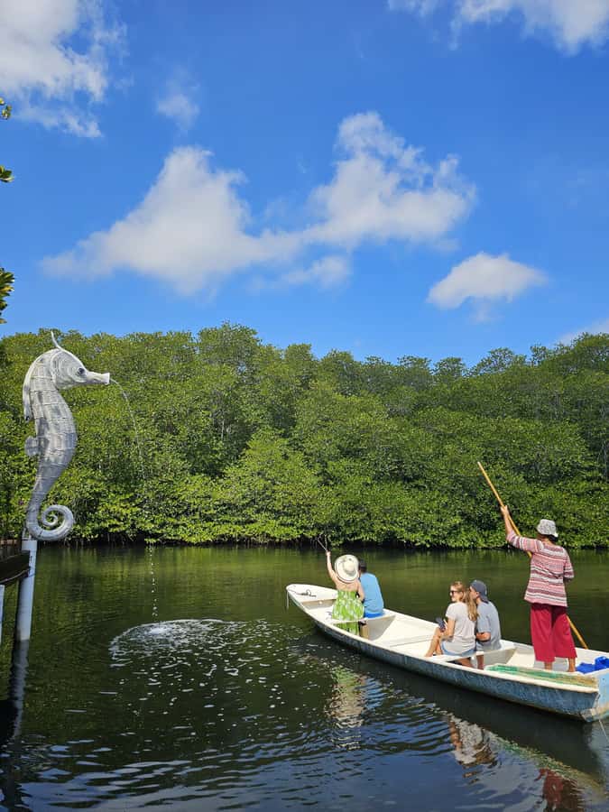 From Lembongan: Kayak/Paddleboard/Boat Mangrove Tour - Pricing and Value