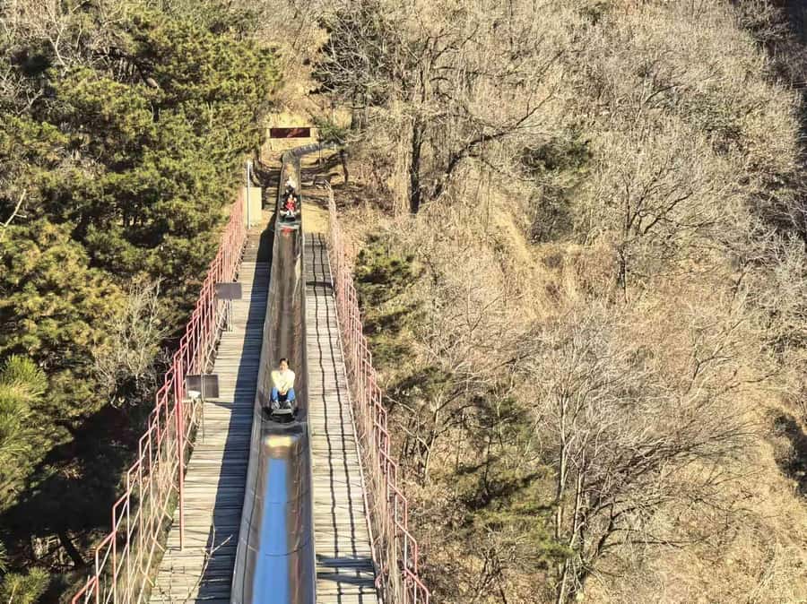 Beijing: Forbidden City and Great Wall Tour - Practical Details and Tips