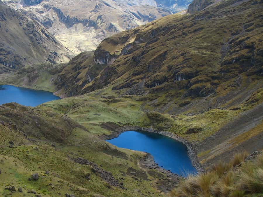 From Cusco: 4-Day Alternative Lares Trail to Machu Picchu - An In-Depth Look at the 4-Day Lares Trail to Machu Picchu
