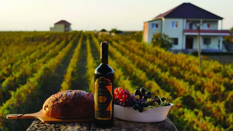 Farm-to-Table Escape: Discover Mrizi i Zanave - From Scenic Drive to Organic Gardens at Mrizi i Zanave