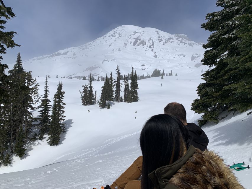 Seattle: Mt. Rainier Hiking w/ Waterfalls, Glaciers & Trees - Who Will Love This Tour?