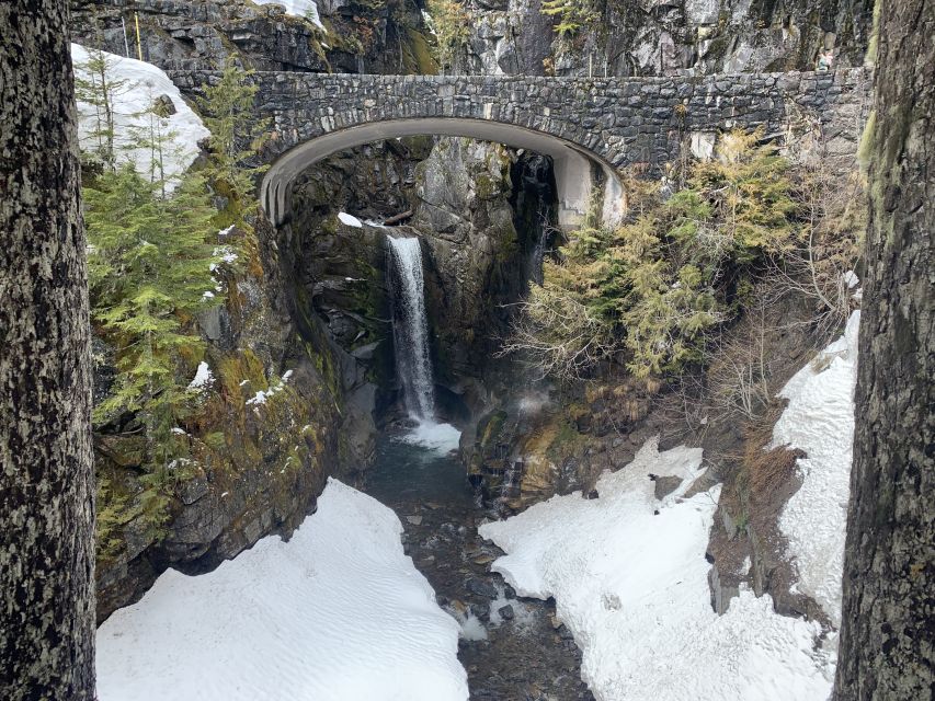 Seattle: Mt. Rainier Hiking w/ Waterfalls, Glaciers & Trees - Exploring Mt. Rainier: What to Expect on This Guided Day Trip