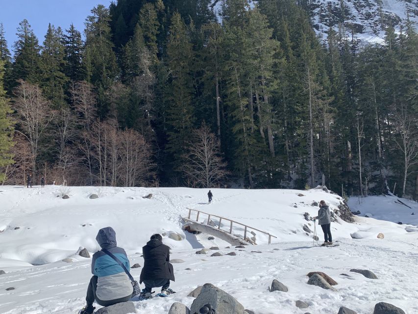 Seattle: Mt. Rainier Hiking w/ Waterfalls, Glaciers & Trees - Final Thoughts