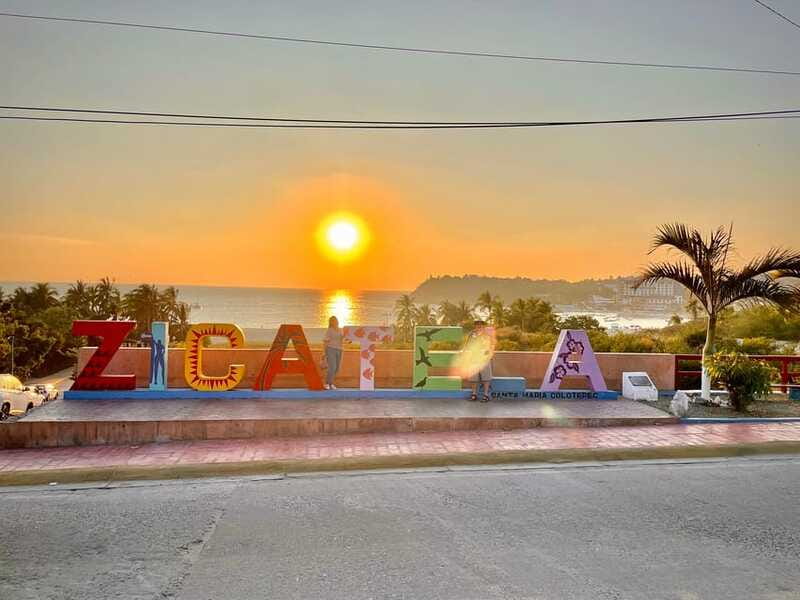 La Crucecita: Magic Lagoon Bioluminescence and Turtles Tour - Who Will Love This Tour?