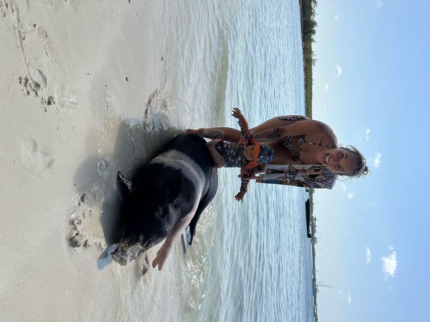 Swimming with the pigs, turtles and reef snorkeling!!! - Analyzing the Value