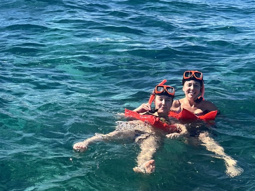 Swimming with the pigs, turtles and reef snorkeling!!! - Who Will Love This Tour?
