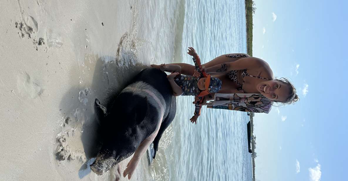 Swimming with the pigs, turtles and reef snorkeling!!! - Key Points