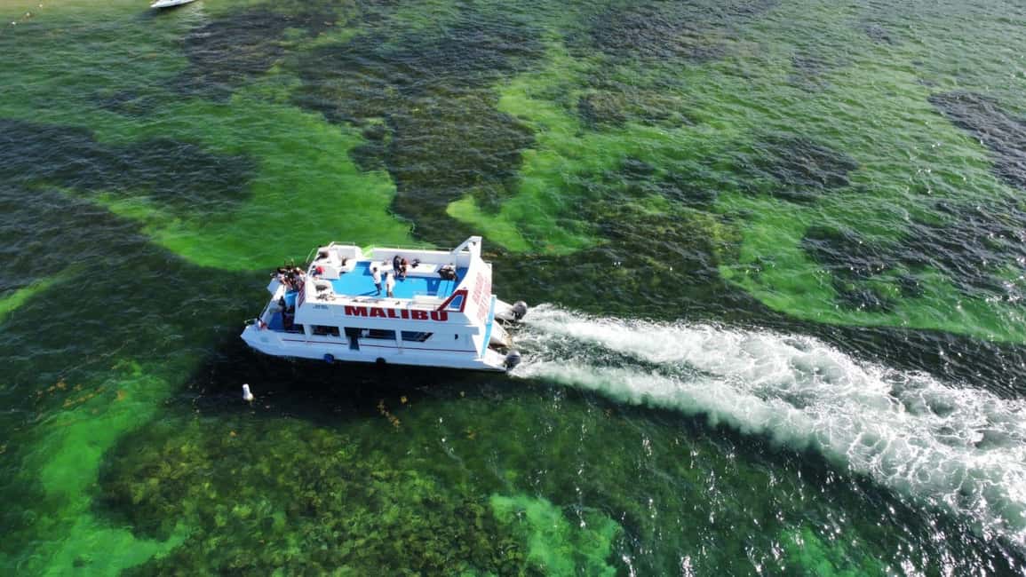 Punta Cana: Catalina Island Cruise with Lunch and Open Bar - Key Points