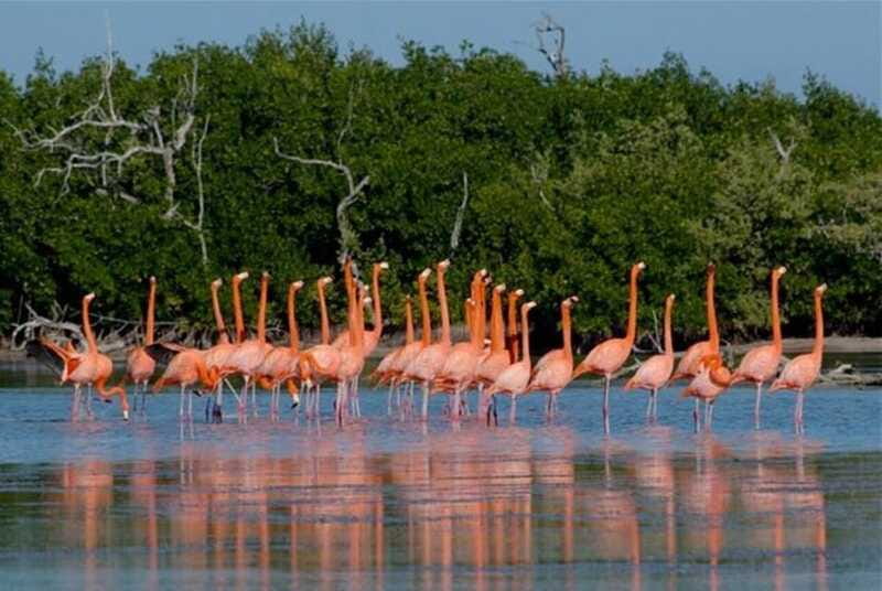 Desde Mérida: El Manantial de Sisal - From Mérida: El Manantial de Sisal — An Authentic Day Trip to Yucatán’s Coast