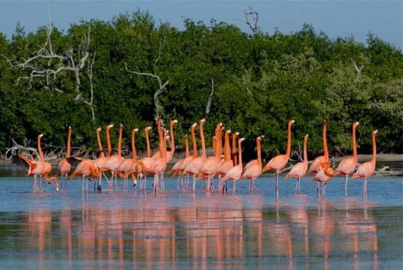 Desde Mérida: El Manantial de Sisal - What the Tour Means for You
