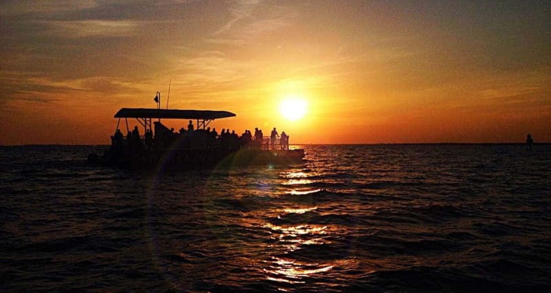 Destin: Dolphin Watching Cruise - Destin: Dolphin Watching Cruise – A Genuine Marine Adventure
