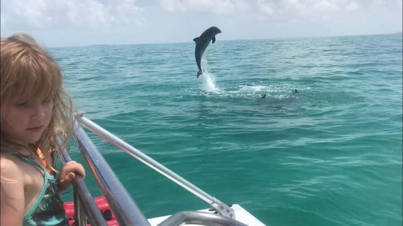 Destin: Dolphin Watching Cruise - Frequently Asked Questions (FAQs)