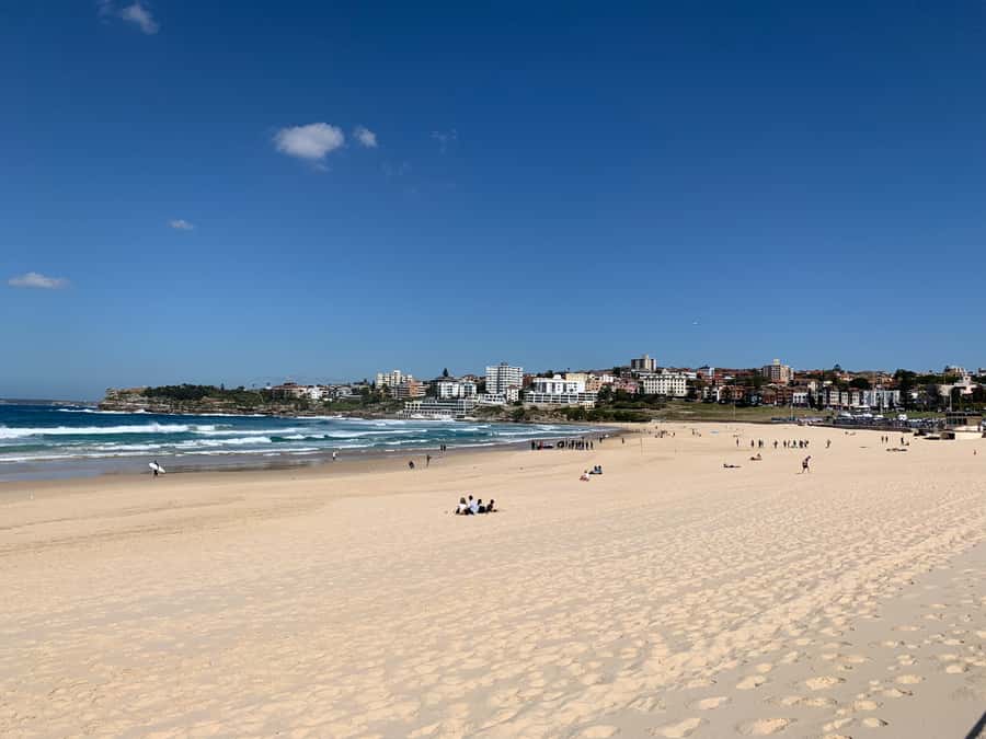 Sydney: Private Half or Full-Day Sightseeing Tour - Good To Know