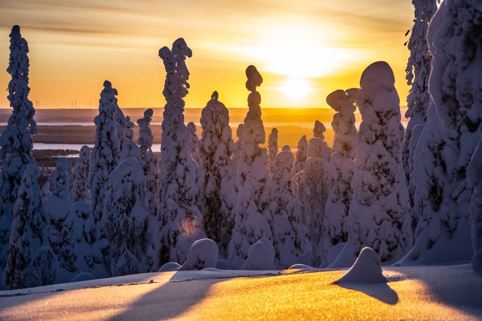 From Rovaniemi: Riisitunturi Full-Day Wilderness Adventure - From Rovaniemi: Riisitunturi Full-Day Wilderness Adventure