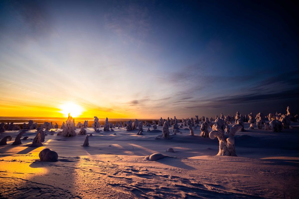 From Rovaniemi: Riisitunturi Full-Day Wilderness Adventure - FAQ