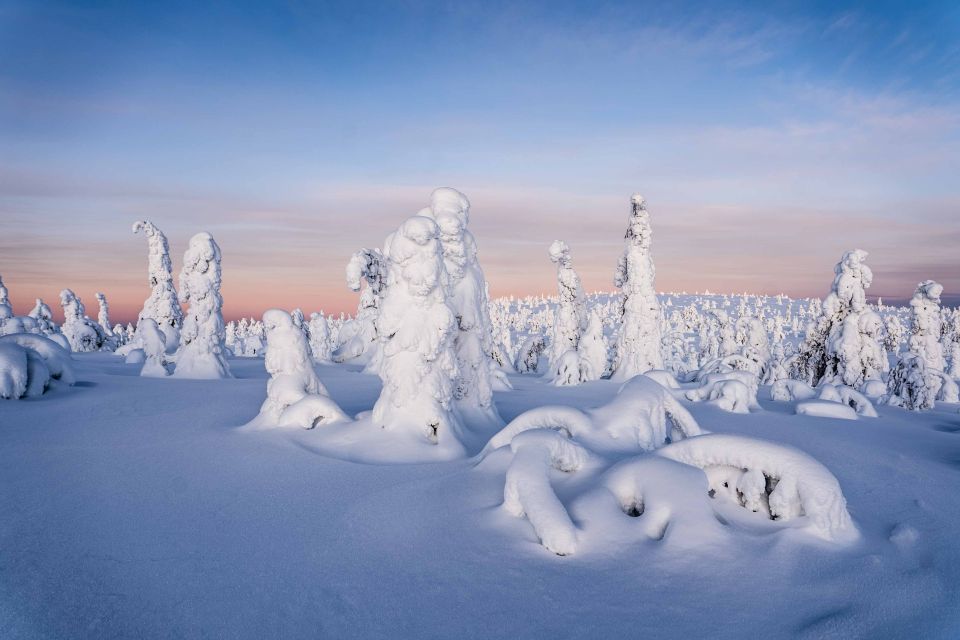 From Rovaniemi: Riisitunturi Full-Day Wilderness Adventure - Key Points
