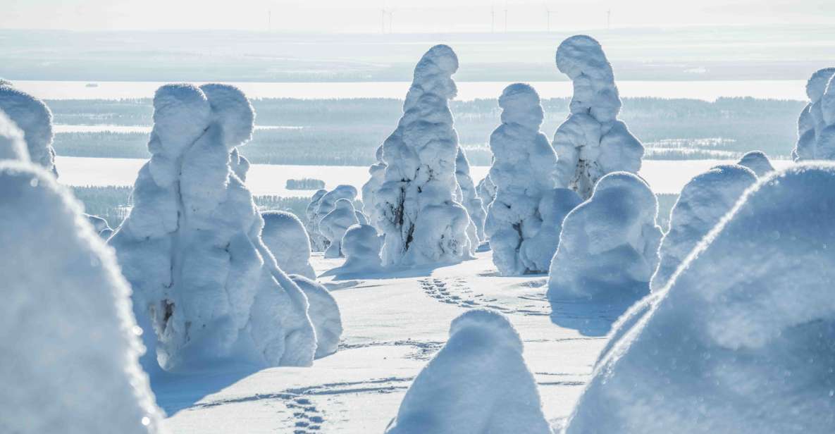 From Rovaniemi: Riisitunturi Full-Day Wilderness Adventure - Possible Drawbacks
