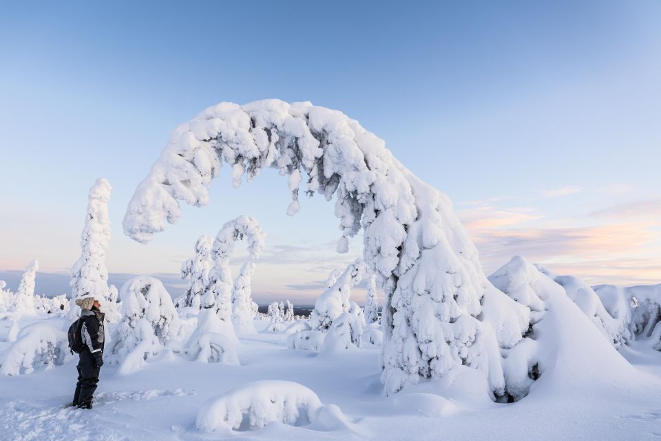 From Rovaniemi: Riisitunturi Full-Day Wilderness Adventure - Final Thoughts: Is This Tour for You?