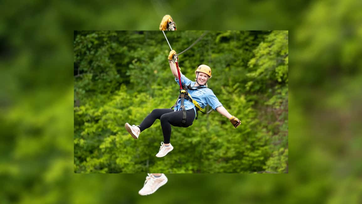 Rainforest Ziplining Adventure - A Detailed Look at the Rainforest Ziplining Adventure