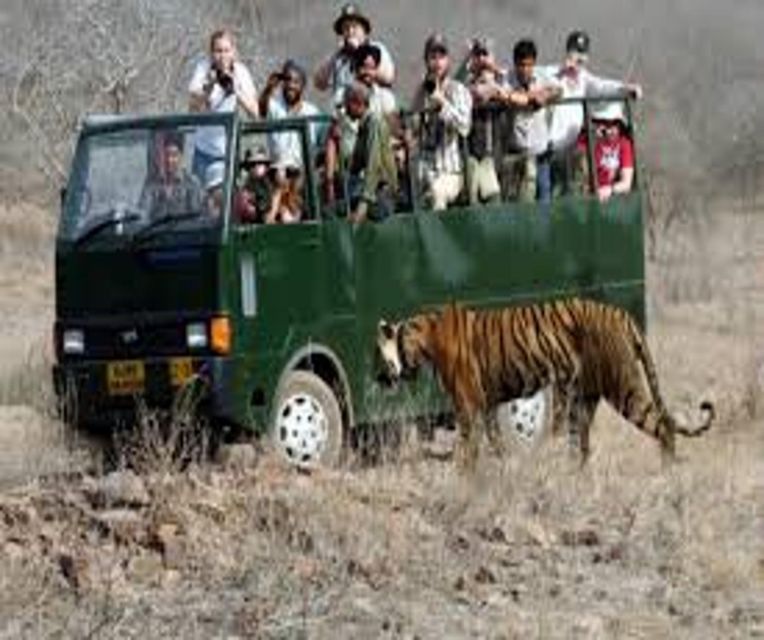 Delhi: Ranthambore National Park 3-Day Trip w/ Tiger Safari - Transportation and Practical Aspects