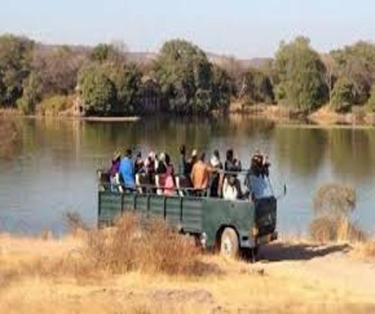 Delhi: Ranthambore National Park 3-Day Trip w/ Tiger Safari - FAQ