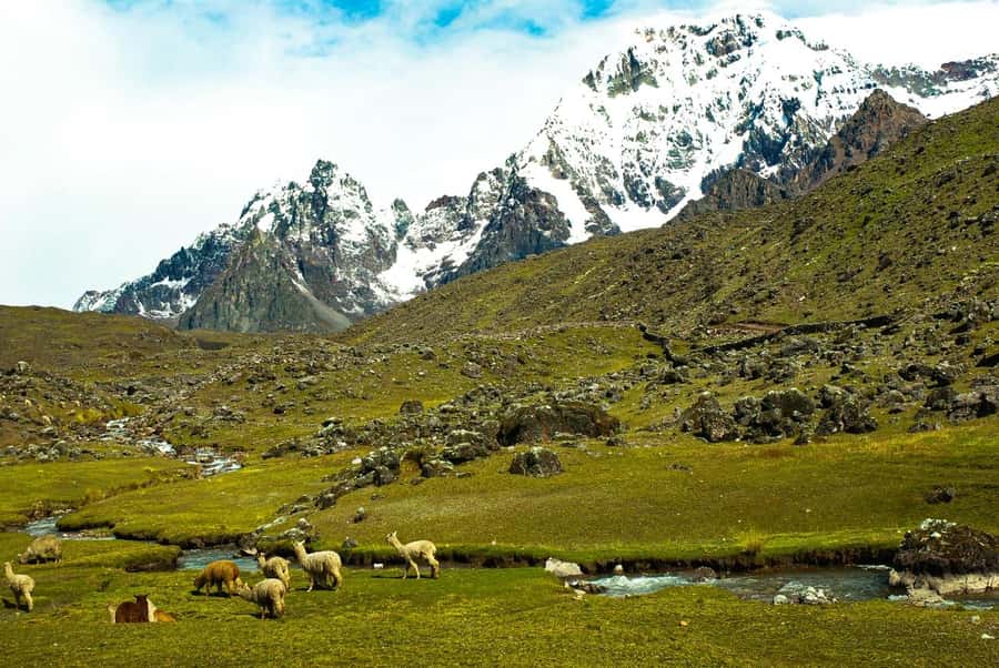 Desde Cusco: Tour Ausangate 7 Lagunas 1 dia. - The Sum Up: Is This Tour Worth It?