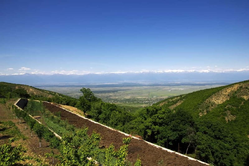 From Tbilisi: Kakheti & Sighnaghi Guided Day Trip with Wine - Practical Considerations and Tips