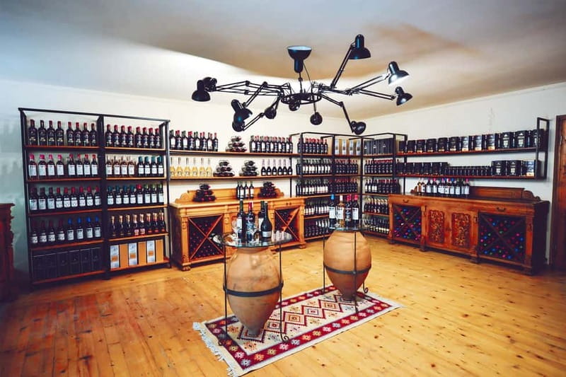 From Tbilisi: Kakheti & Sighnaghi Guided Day Trip with Wine - Who Will Appreciate This Tour?